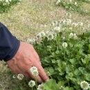 (주)네잎 이미지