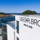 리가브로 이미지