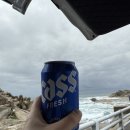 동명항 | 동명항 차박 캠핑 후기 | 준비 없이 떠난 급 차박여행 성공기