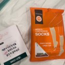 세인트동물병원 | 수원 세인트마리 자연분만 39w 5d 출산 후기