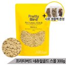 네추럴버드