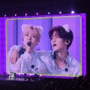 네오폭스 | 이렇게 신난 콘서트 간만이라 매우 신나