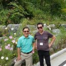 금양초교 이미지