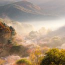 2026년10월24[토]인제 화려한단풍터널 필례약수와 인제 비밀의정원 단풍 절정시기!! 이미지
