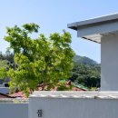 스테이 무어 이미지