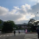 남산가축인공수정소 | 청와대 관람 | 청와대 국민품으로 | 예약 꿀팁 | 방문 후기