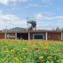 산소카페 청송군민음악회 이미지