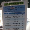 큰다나약국 네이버블로그