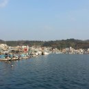 대변항3 이미지