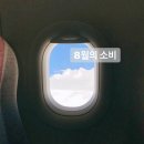 다원덴탈랩 | 내돈내산 8월의 소비 - 추천템과 비추템