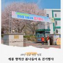 계룡시 치매센터 | 대전 근교 벚꽃 명소, 계룡 향적산 봄나들이 및 치매극복 걷기 행사 후기
