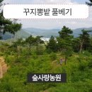숲사랑농원 이미지