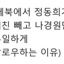 (페북에서 정동희가 페친 빼고 나경원만 유일하게 팔로우하는 이유) 심심찮게 나경원 의원에 대해 비방하거나 욕하는 동영상이 유투브나 인 이미지