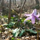 화원1리마을회관 이미지