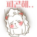 단콩 이미지