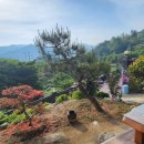 청솔 한옥 스테이 이미지