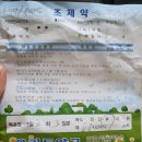 부천 힐링윤치과의원 사랑니 발치 후기