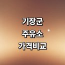 신아시아드주유소충전소 | 부산 기장군 근처 주유소 추천 가격비교 정보 24시 세차장 고급유 신용카드 gs