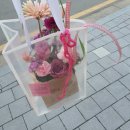 수자인세탁소 | 광주 꽃 선물_소피