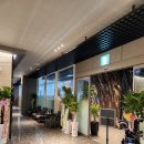 GDR레슨파크 이미지