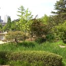 푸른수목원 이미지