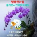 샬롬 - 종로구 율곡로17길 19 | 샬롬