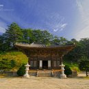 흥령선원지 이미지