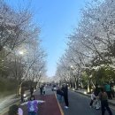 자유수호평화박물관 이미지