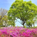 철쭉공원 화장실(중앙) 이미지