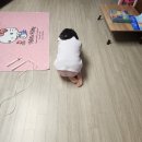 도담피자 이미지