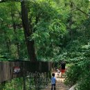 생태다리 이미지