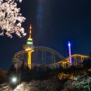 두류공원로 이미지