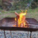 소나무(산촌마을) 이미지