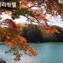 데이지리빙텔