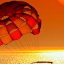 제주공상 이미지