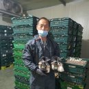 누리영농조합법인 농수축산신문