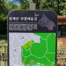 봉제산 유아숲체험원 이미지