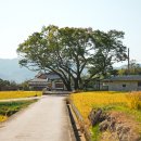 구례수목원 유아숲체험원 이미지