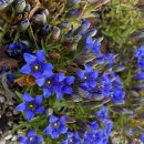 서울하늘숲유치원 | [서울 나들이 후기] 남산하늘숲길 후기 : 무장애숲길 1.45km 힐링코스, 서울타워까지 가을 산책 (전망대...