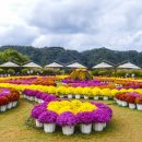 운암공원 이미지