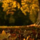 인사불성 이미지