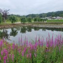 수남공원 이미지