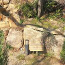 송정로13번길 | 양산 느티나무의 사랑, &#39;둘레길 산책로&#39; &amp; &#39;플리마켓&#39; 솔직 후기