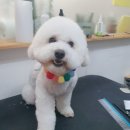 멍이의 품격 네이버블로그