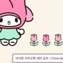 from.daisy(프롬데이지)님 튤립마멜_라벨 카톡테마 후기🩷🌷