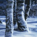 이월목장 이미지