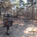 신동초교 이미지