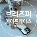 나도 고양이 생겼다 | 브리즈피 폰케이스 리뷰