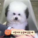 오영농장 이미지