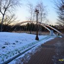 황새울교 앞 이미지